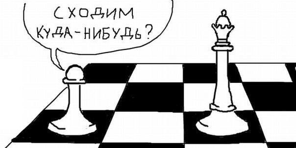 Курьезы из истории шахмат